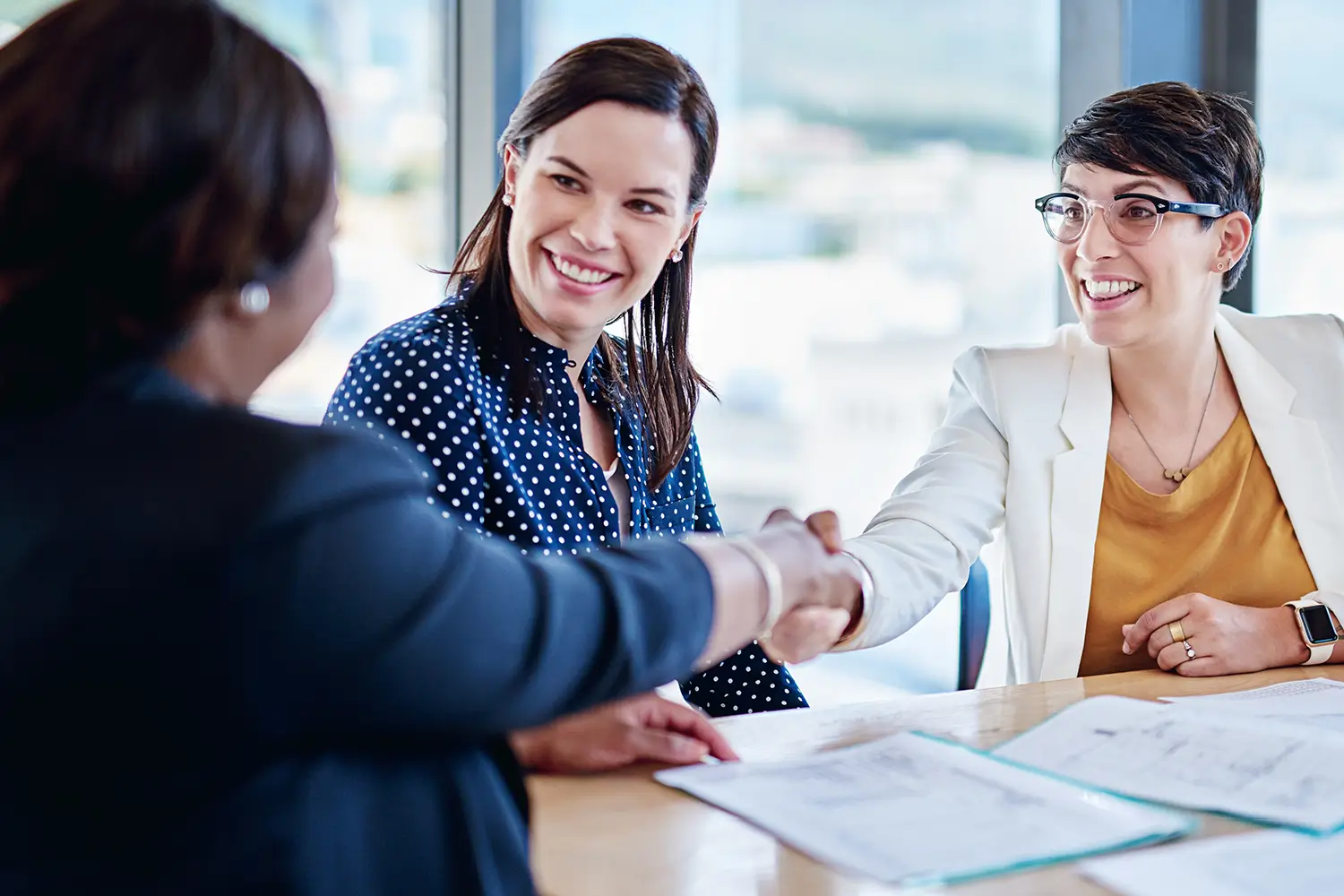 Friendly professionals shaking hands